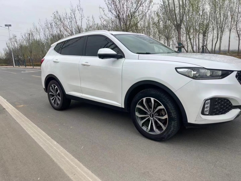 廊坊20年长城汽车WEY VV62