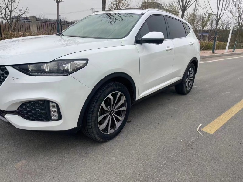 廊坊20年长城汽车WEY VV63