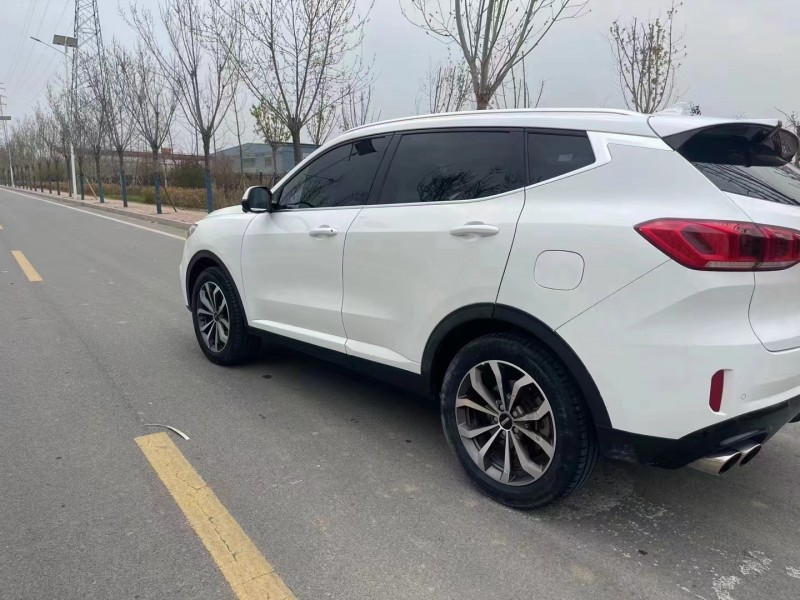 廊坊20年长城汽车WEY VV64