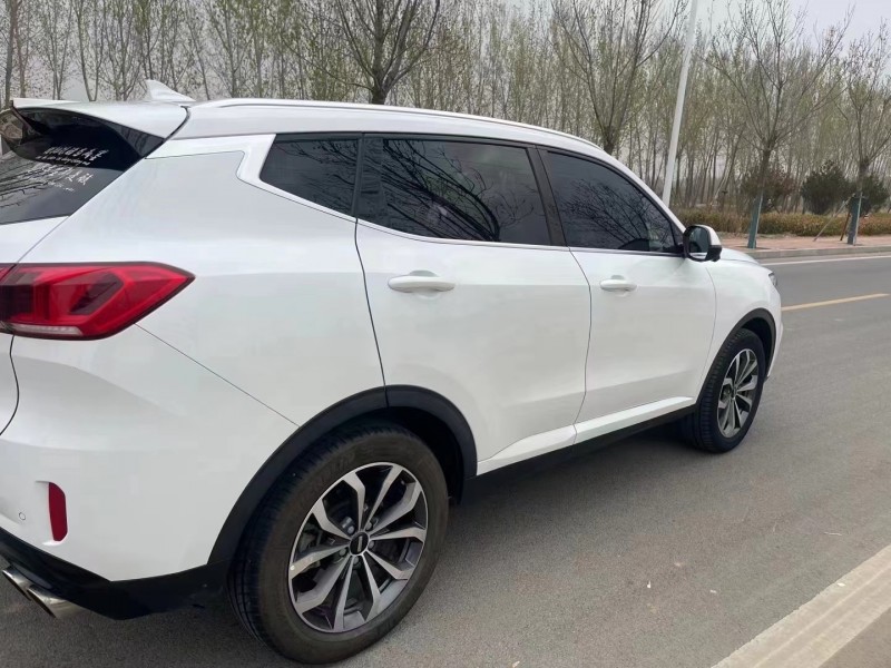 廊坊20年长城汽车WEY VV65