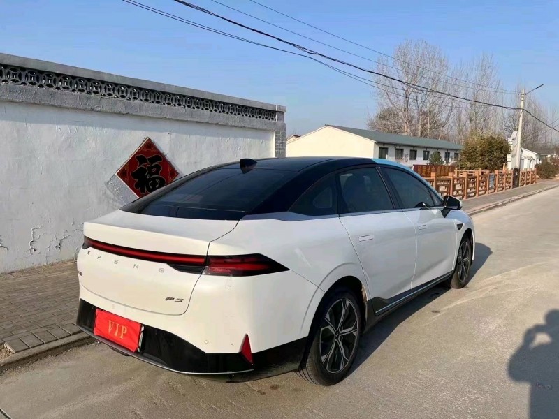 棗莊21年小鵬汽車P54