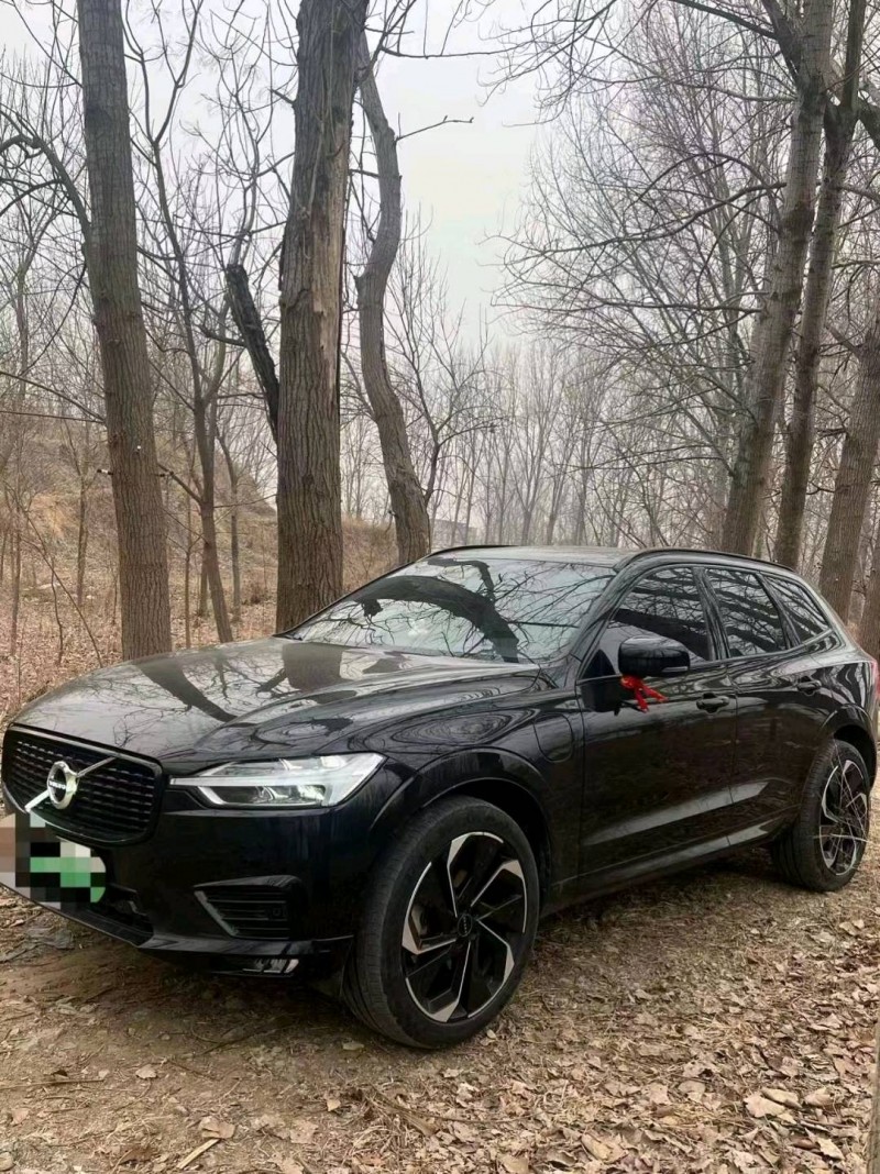 聊城20年沃尔沃XC603