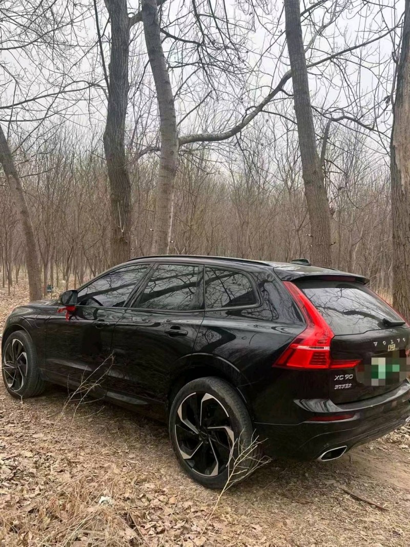 聊城20年沃尔沃XC604