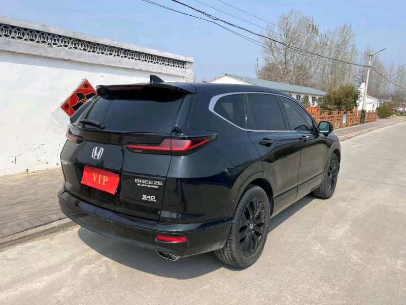 枣庄20年本田皓影4