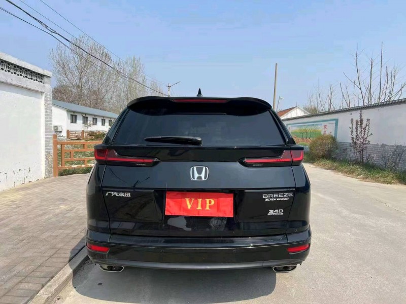 枣庄20年本田皓影9