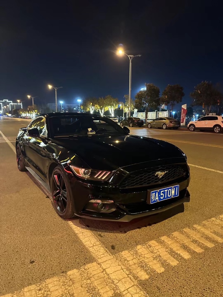 枣庄16年福特野马1