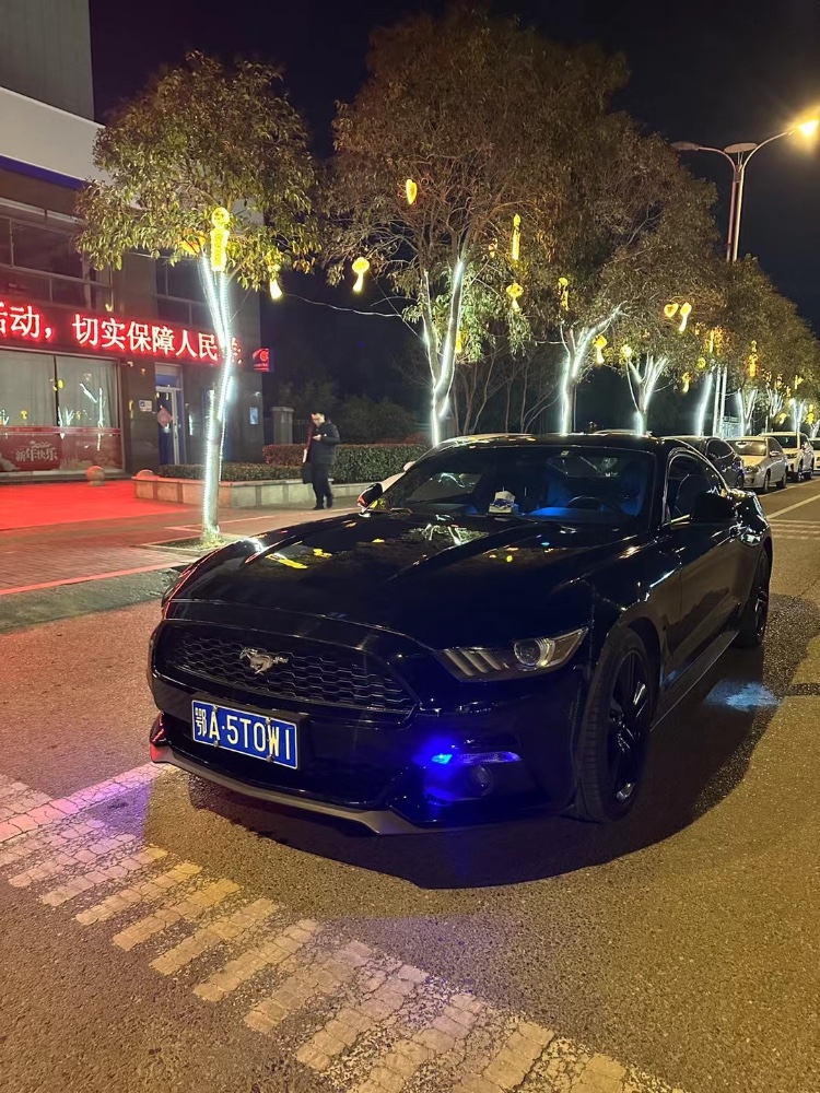 枣庄16年福特野马3