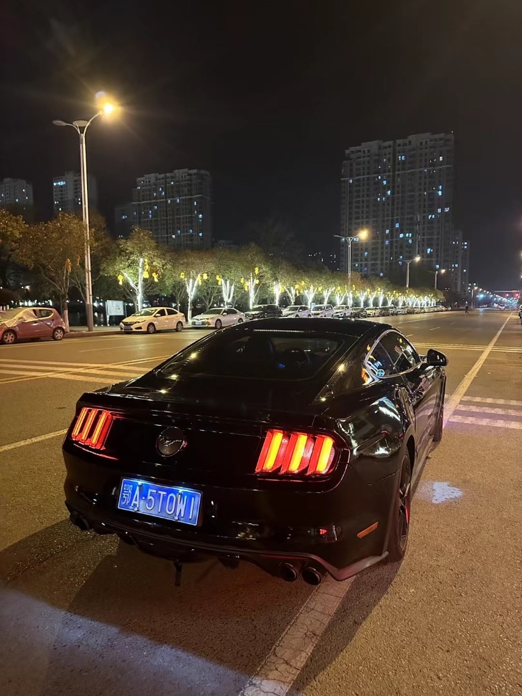 枣庄16年福特野马4