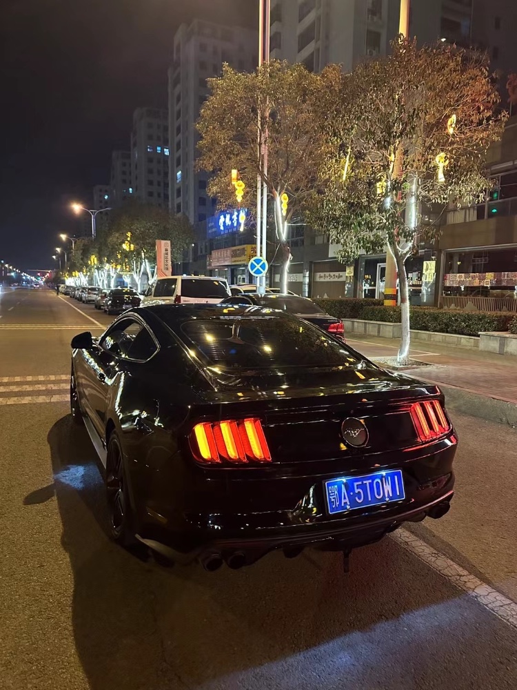 枣庄16年福特野马7