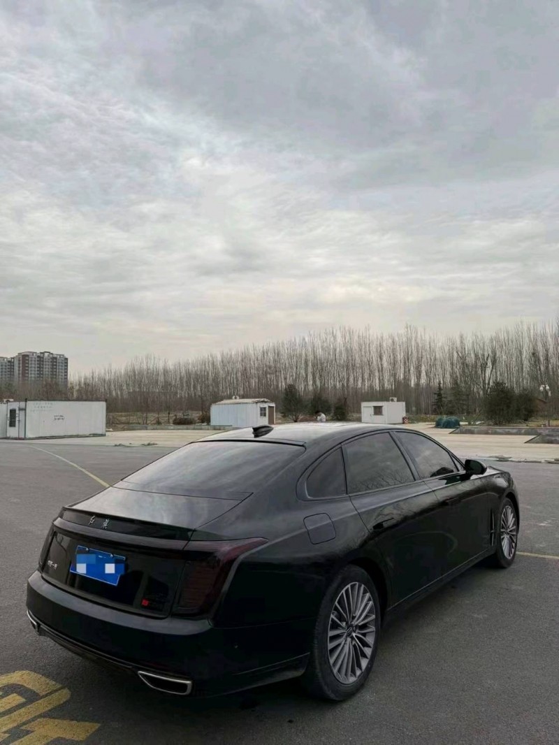聊城21年红旗H95