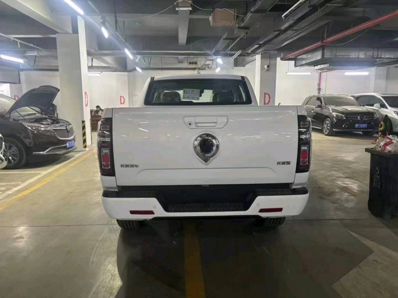 哈爾濱24年長城汽車炮 皮卡9