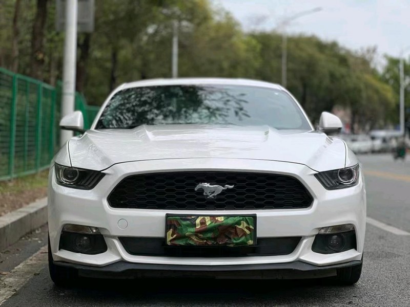 东莞16年福特野马1