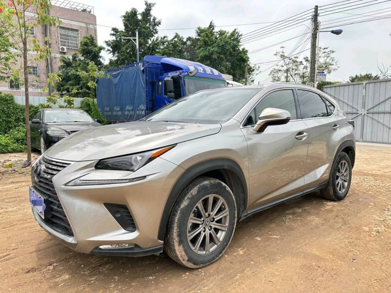 广州21年雷克萨斯NX2