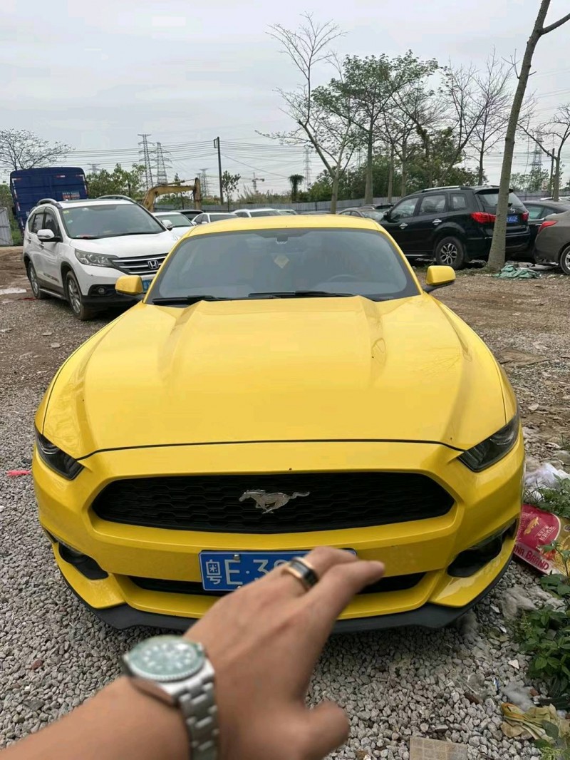 广州18年福特野马1