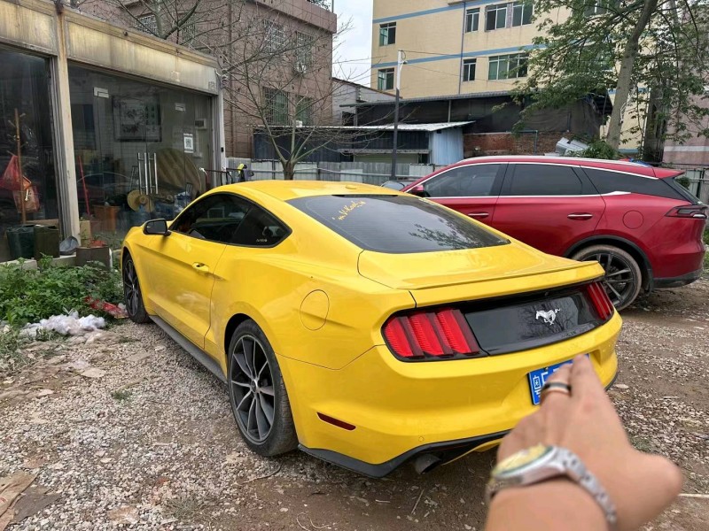 广州18年福特野马5