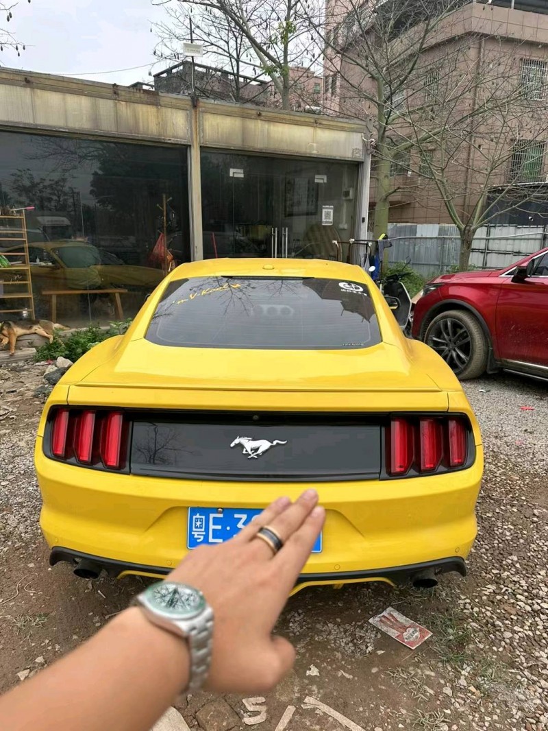 广州18年福特野马6