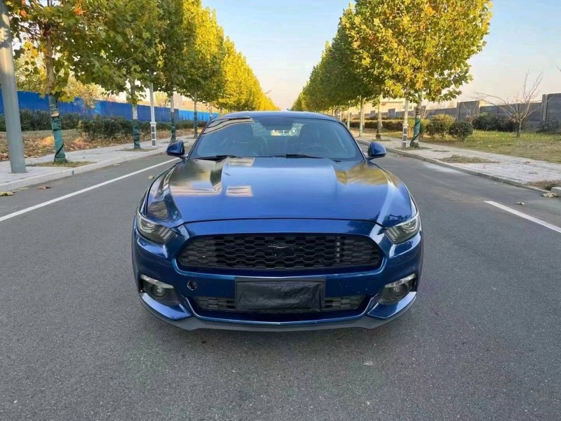 枣庄18年福特野马1