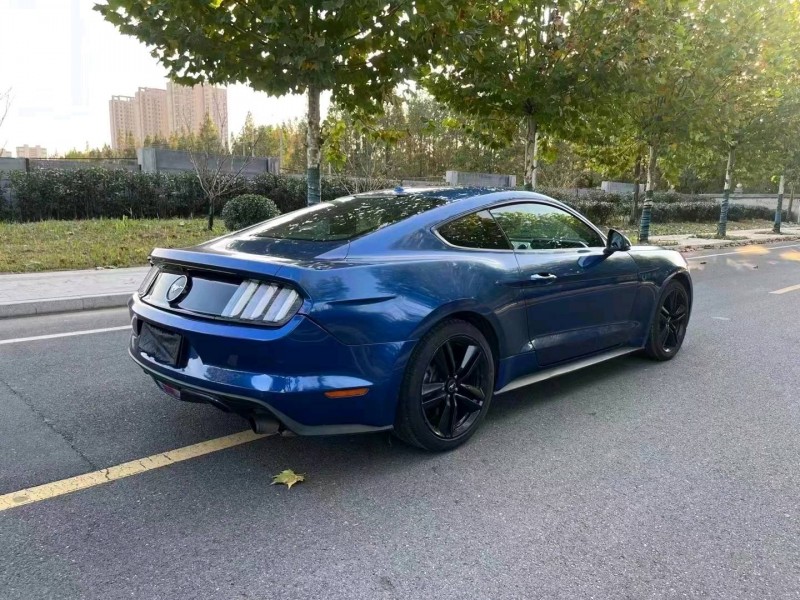 枣庄18年福特野马7