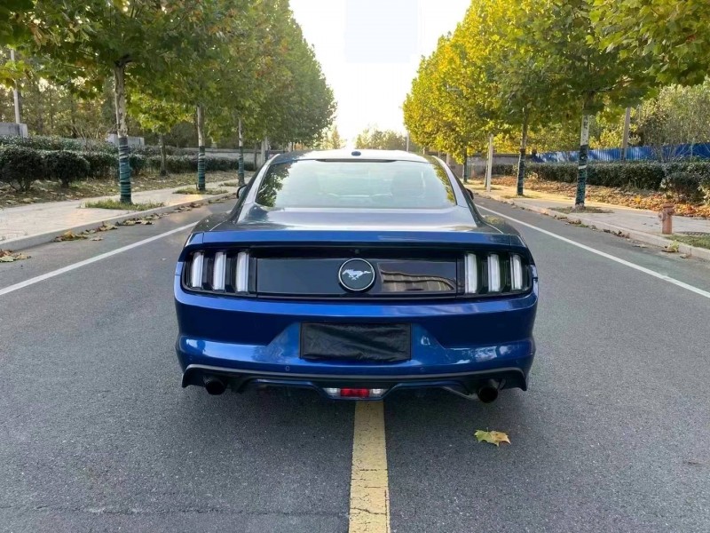 枣庄18年福特野马9