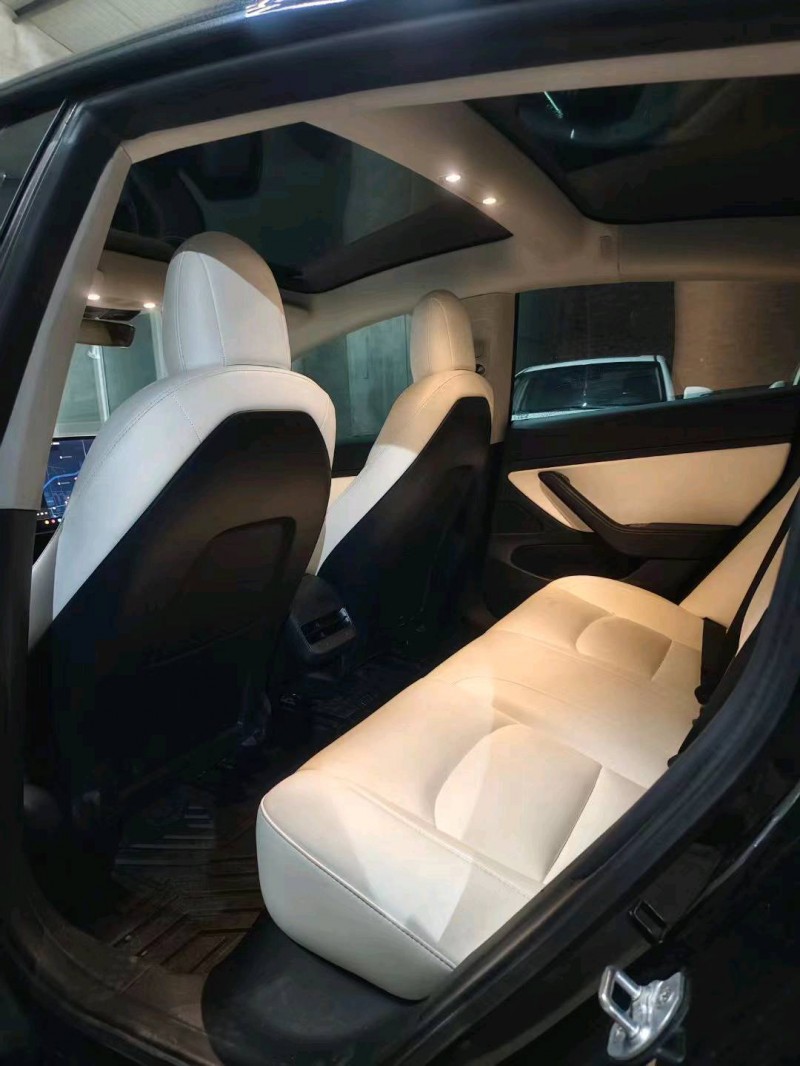 邯鄲20年特斯拉MODEL 35