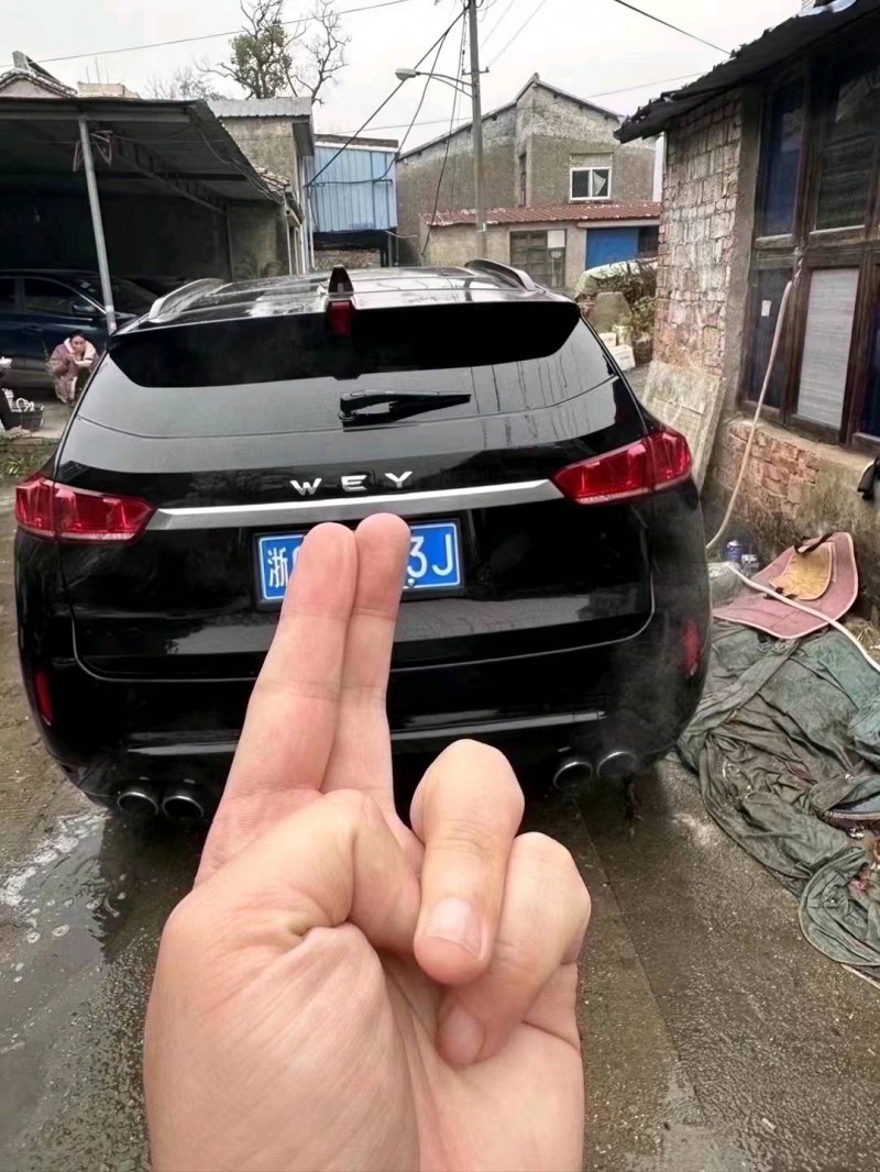 嘉興18年長城汽車WEY VV74
