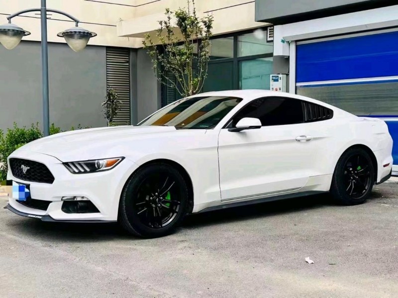 淄博18年福特野马3