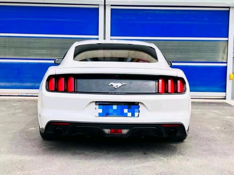 淄博18年福特野马8