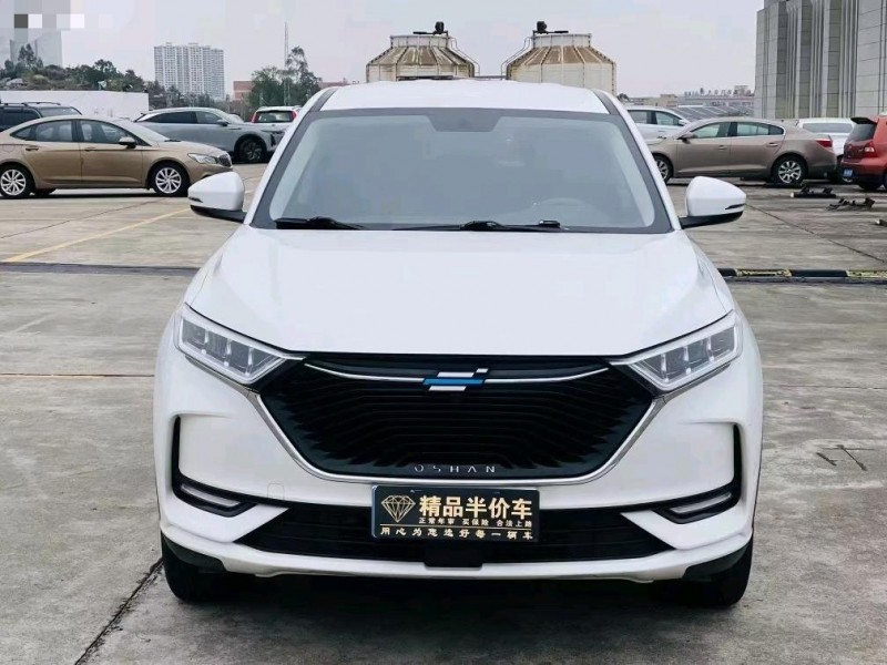 东莞20年长安汽车欧尚1
