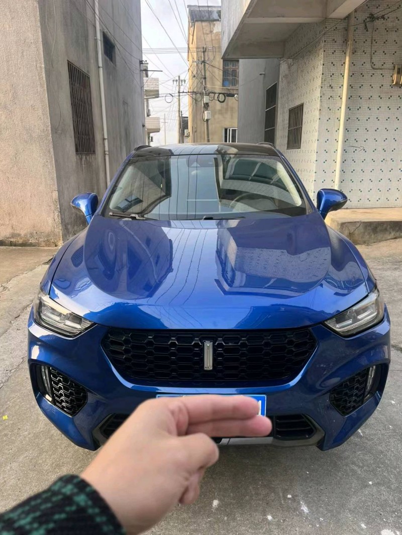 常州18年長城汽車WEY VV51