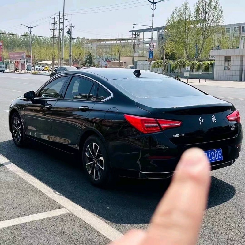 枣庄20年红旗H55