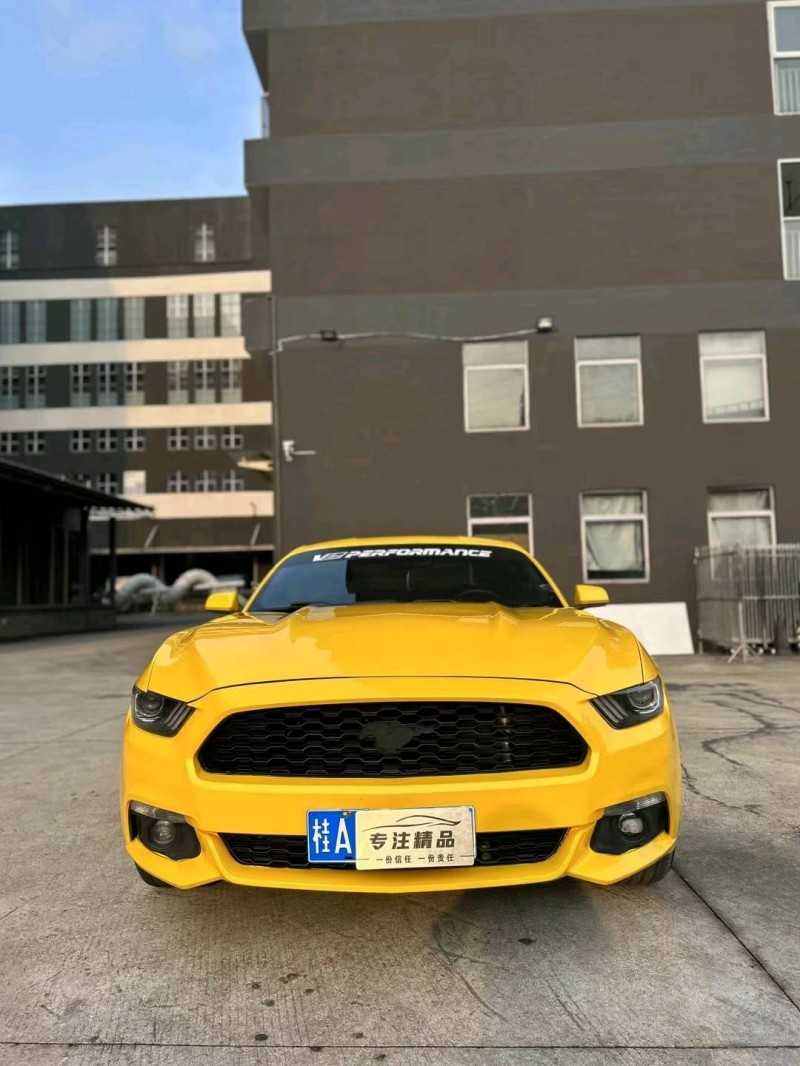 广州16年福特野马1