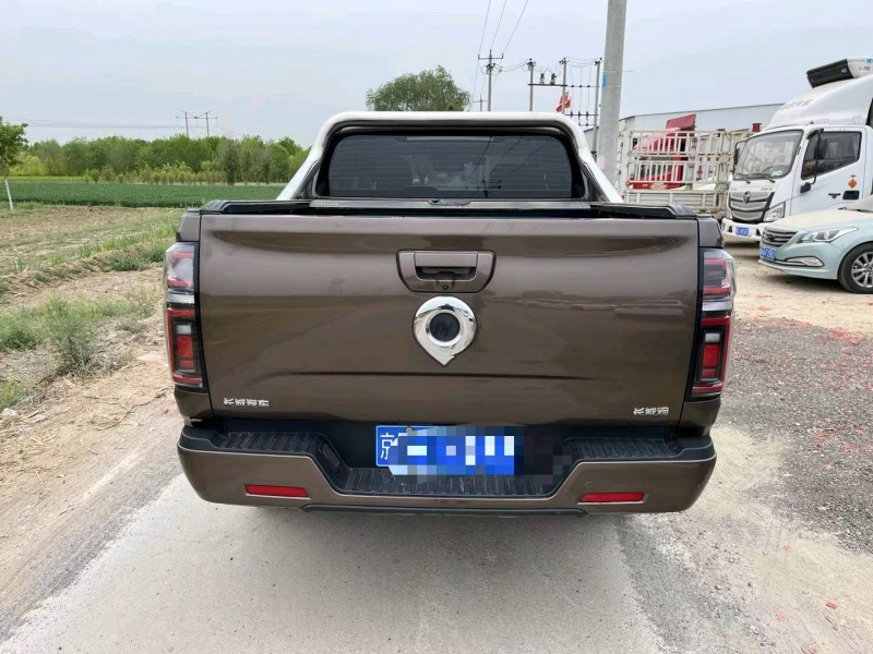 保定22年长城汽车炮 皮卡9