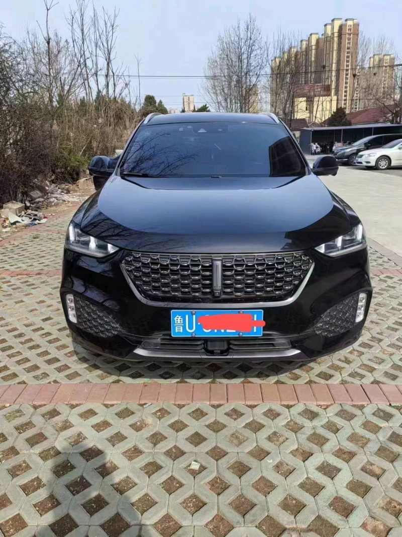 东营20年长城汽车WEY VV61