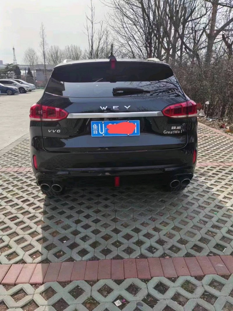 东营20年长城汽车WEY VV66