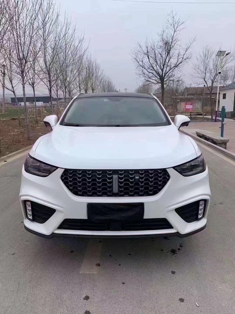 淄博20年长城汽车WEY VV51