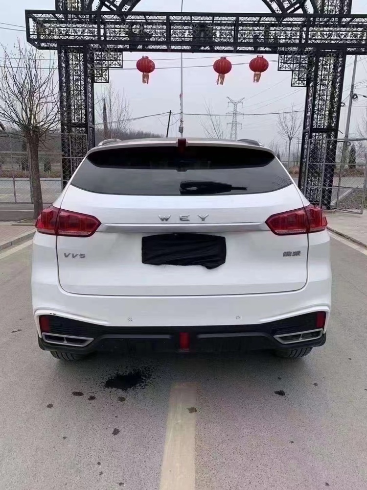 淄博20年长城汽车WEY VV54