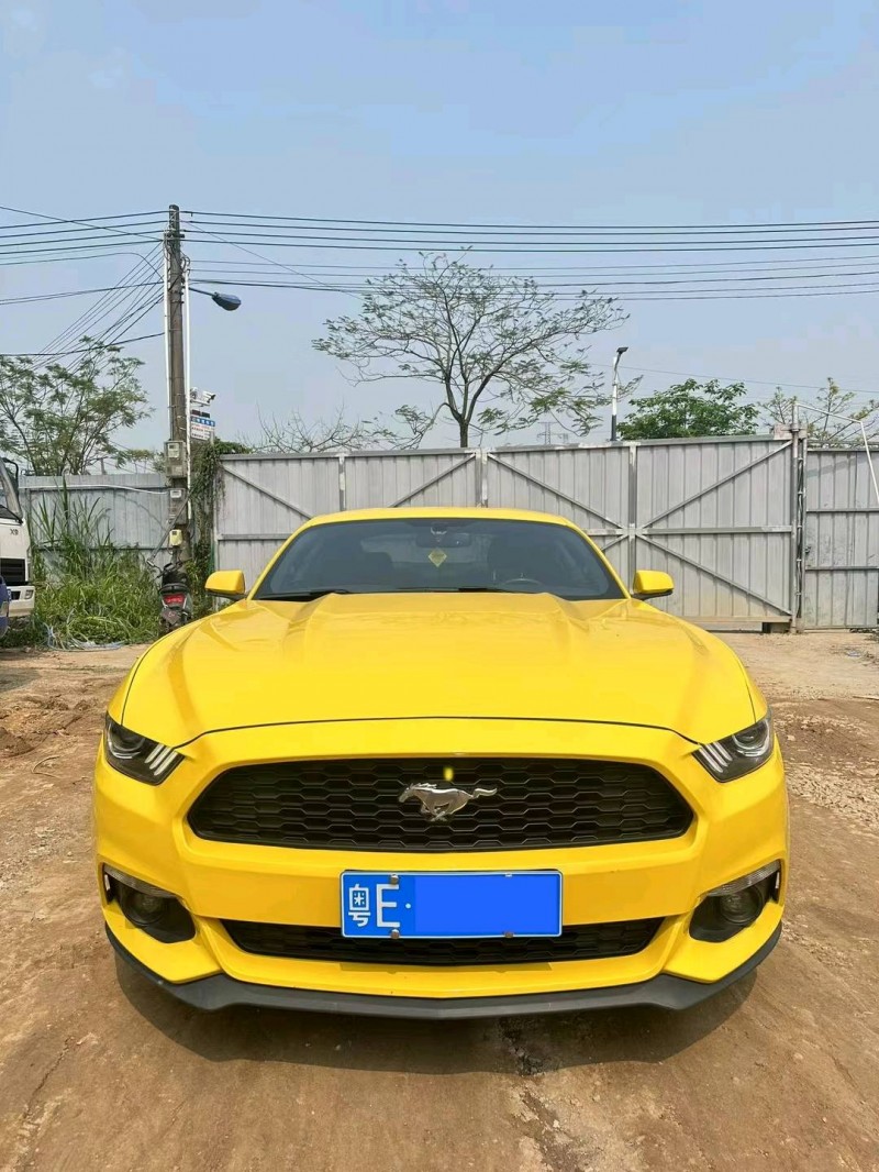 广州18年福特野马1