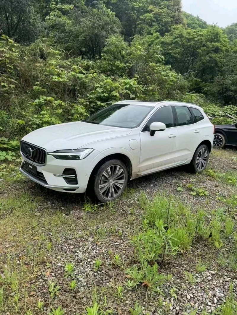 常德24年沃爾沃XC602