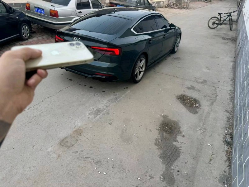 保定19年奥迪A54