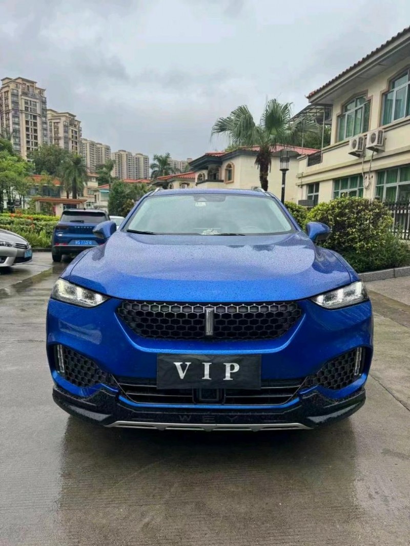 东莞17年长城汽车WEY VV71