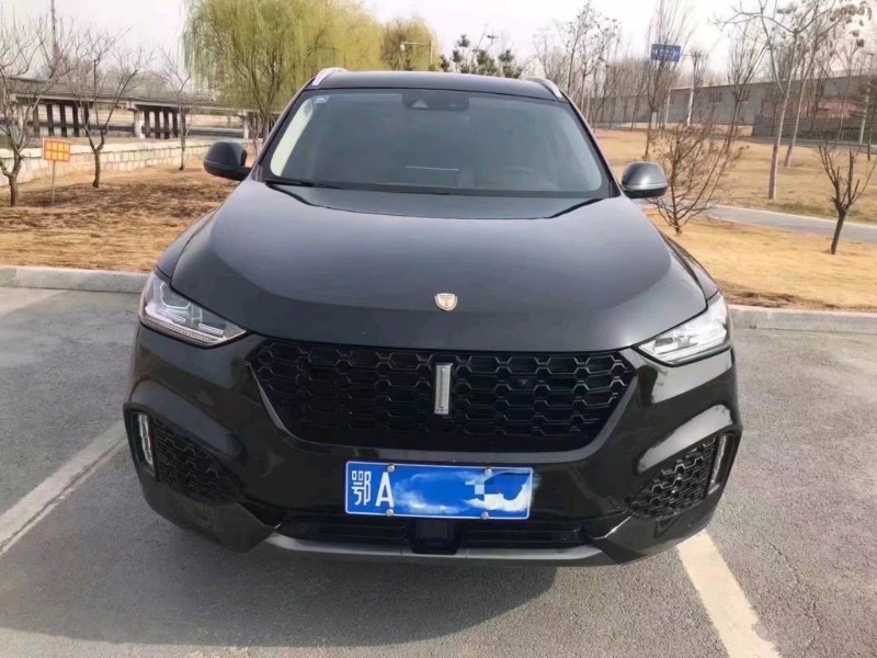 东营19年长城汽车WEY VV61