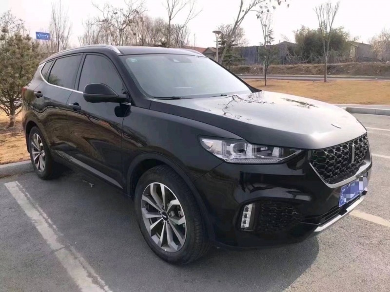 东营19年长城汽车WEY VV62