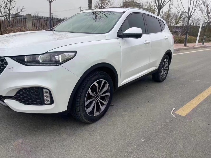 廊坊20年长城汽车WEY VV62