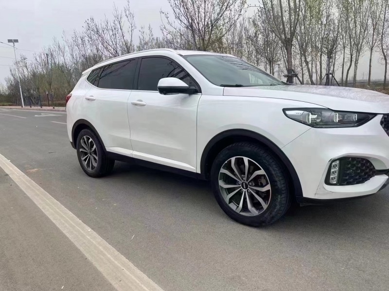 廊坊20年长城汽车WEY VV63