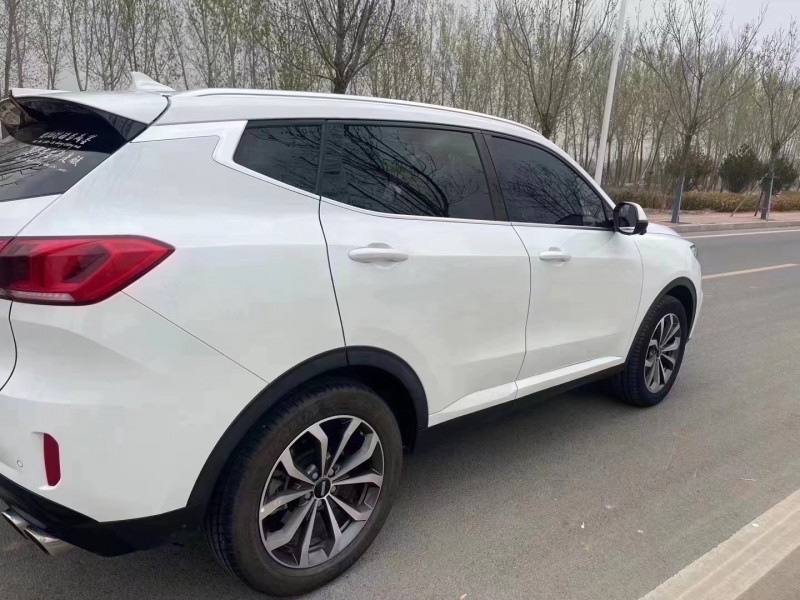 廊坊20年长城汽车WEY VV64