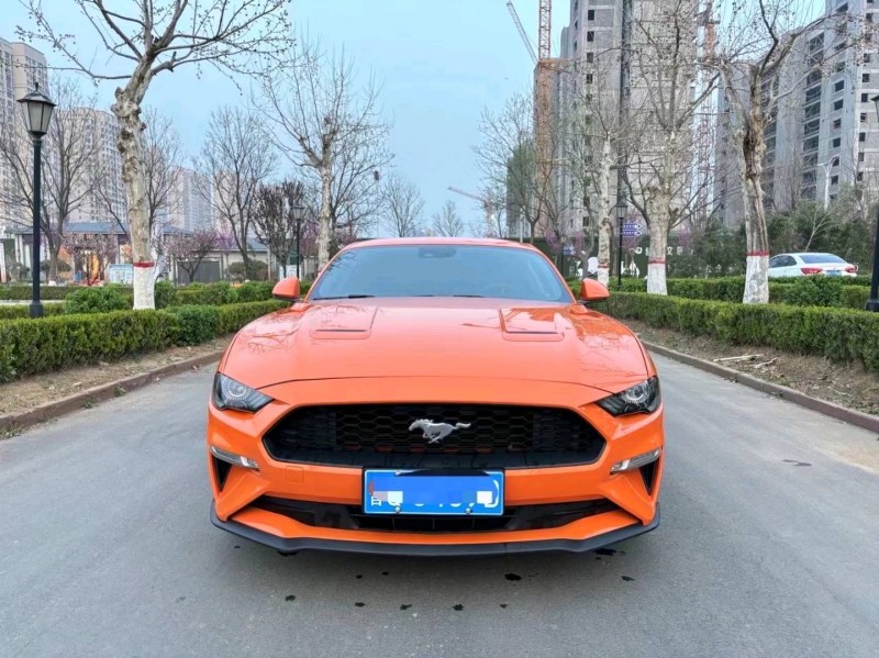 东营21年福特野马1