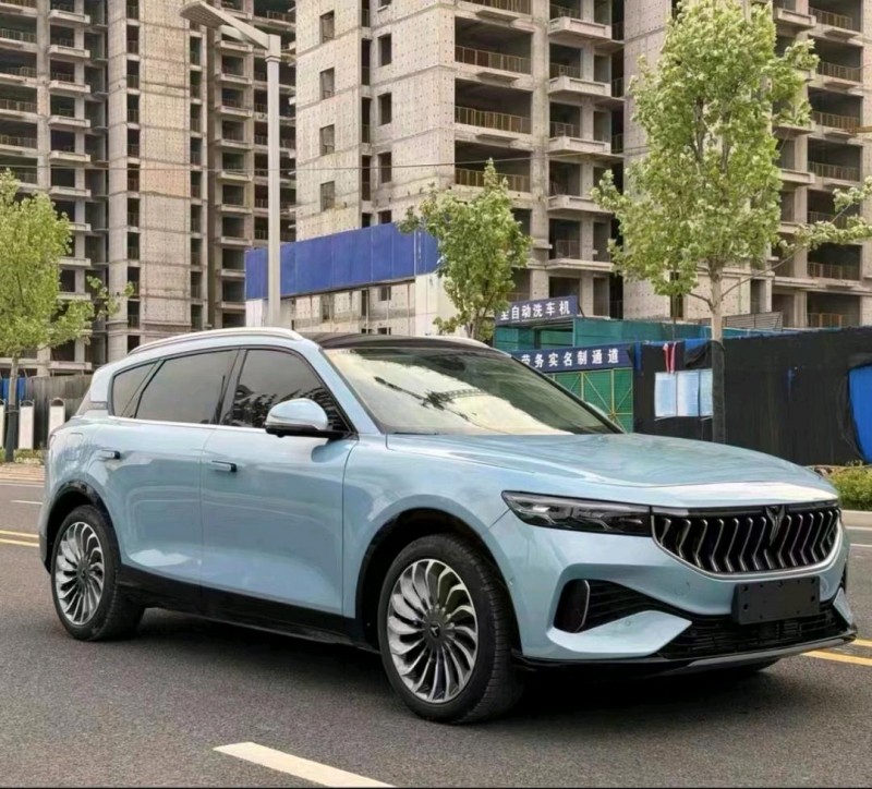 嘉興22年嵐圖汽車FREE2