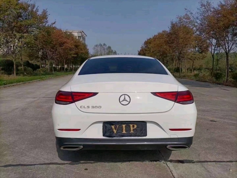 鄂州19年奔馳CLS6