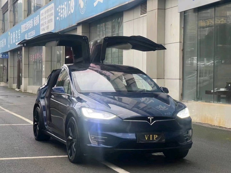 棗莊17年特斯拉MODEL X2