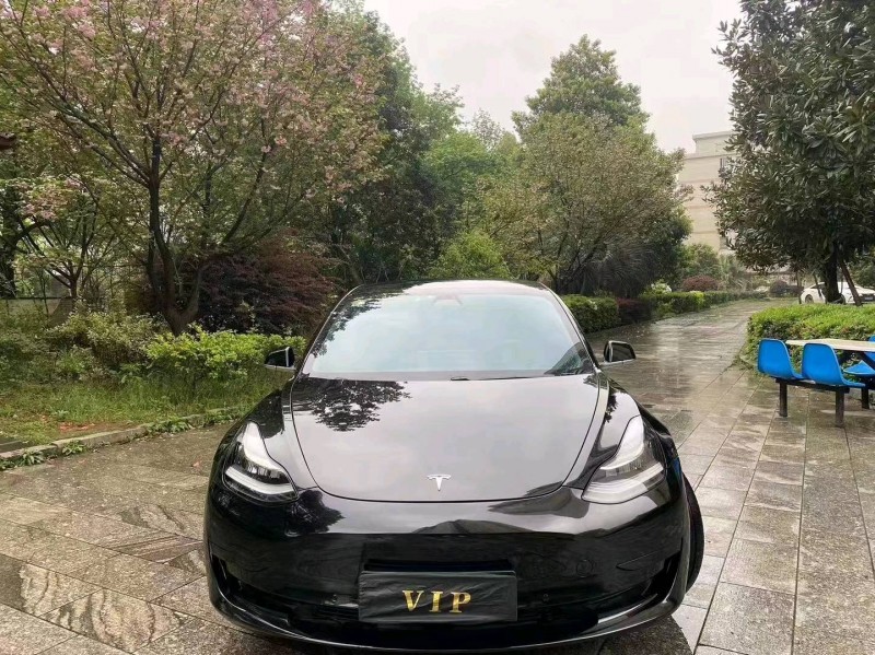 汕頭21年特斯拉MODEL 31